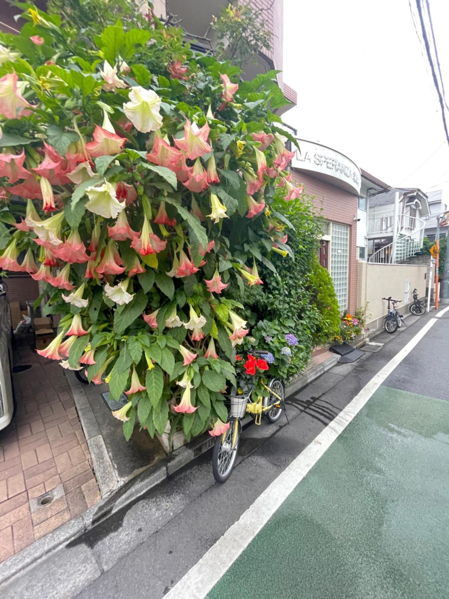 新宿庭院の屋-Shinjuku Garden Home -28 Square Meters King Size Bed Garden Room Tóquio Exterior foto