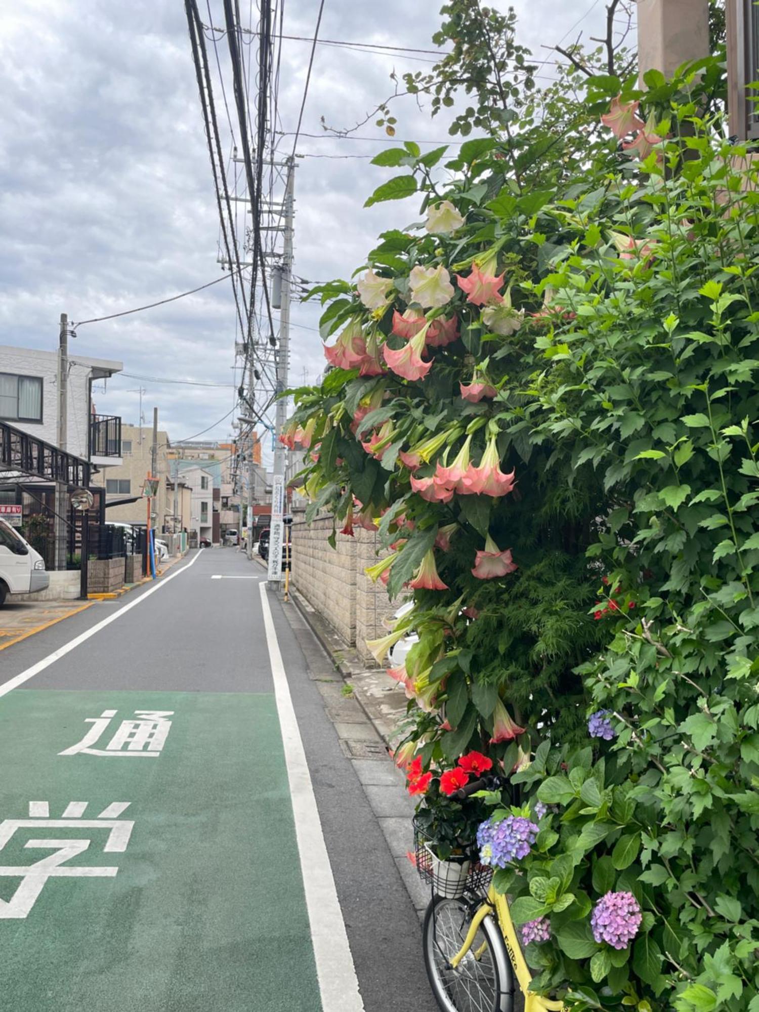 新宿庭院の屋-Shinjuku Garden Home -28 Square Meters King Size Bed Garden Room Tóquio Exterior foto