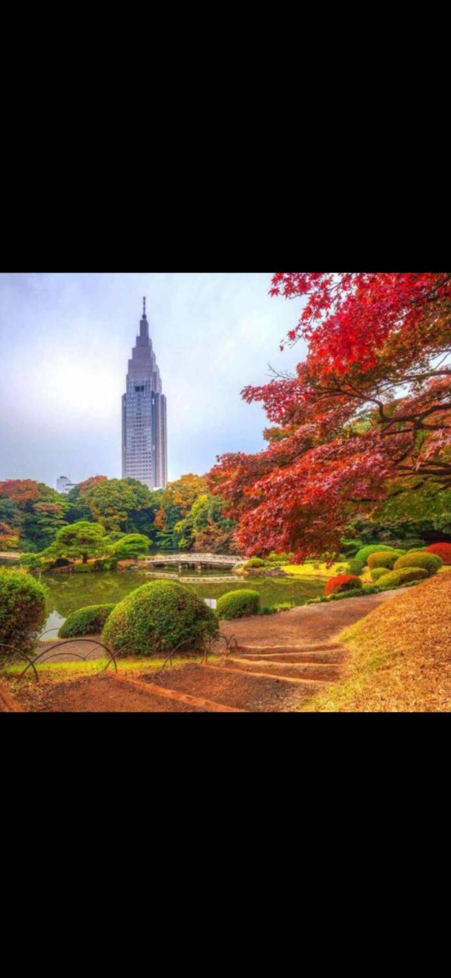 新宿庭院の屋-Shinjuku Garden Home -28 Square Meters King Size Bed Garden Room Tóquio Exterior foto