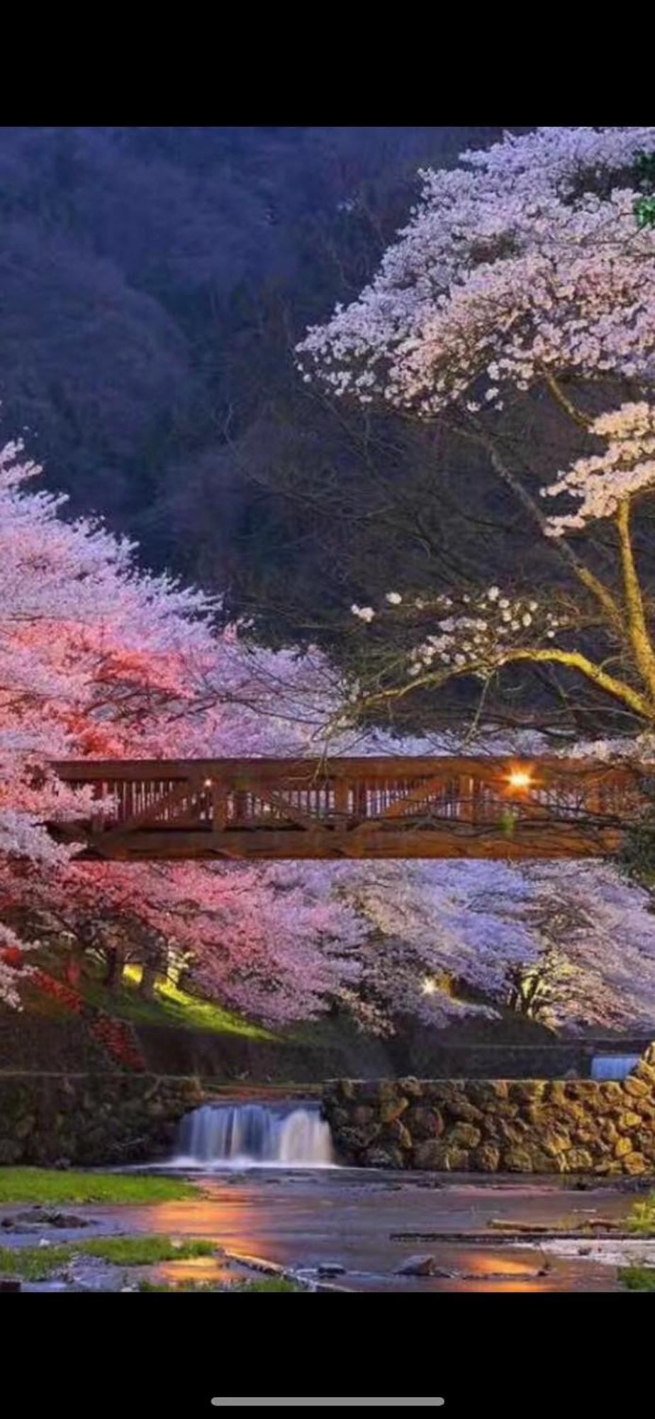 新宿庭院の屋-Shinjuku Garden Home -28 Square Meters King Size Bed Garden Room Tóquio Exterior foto