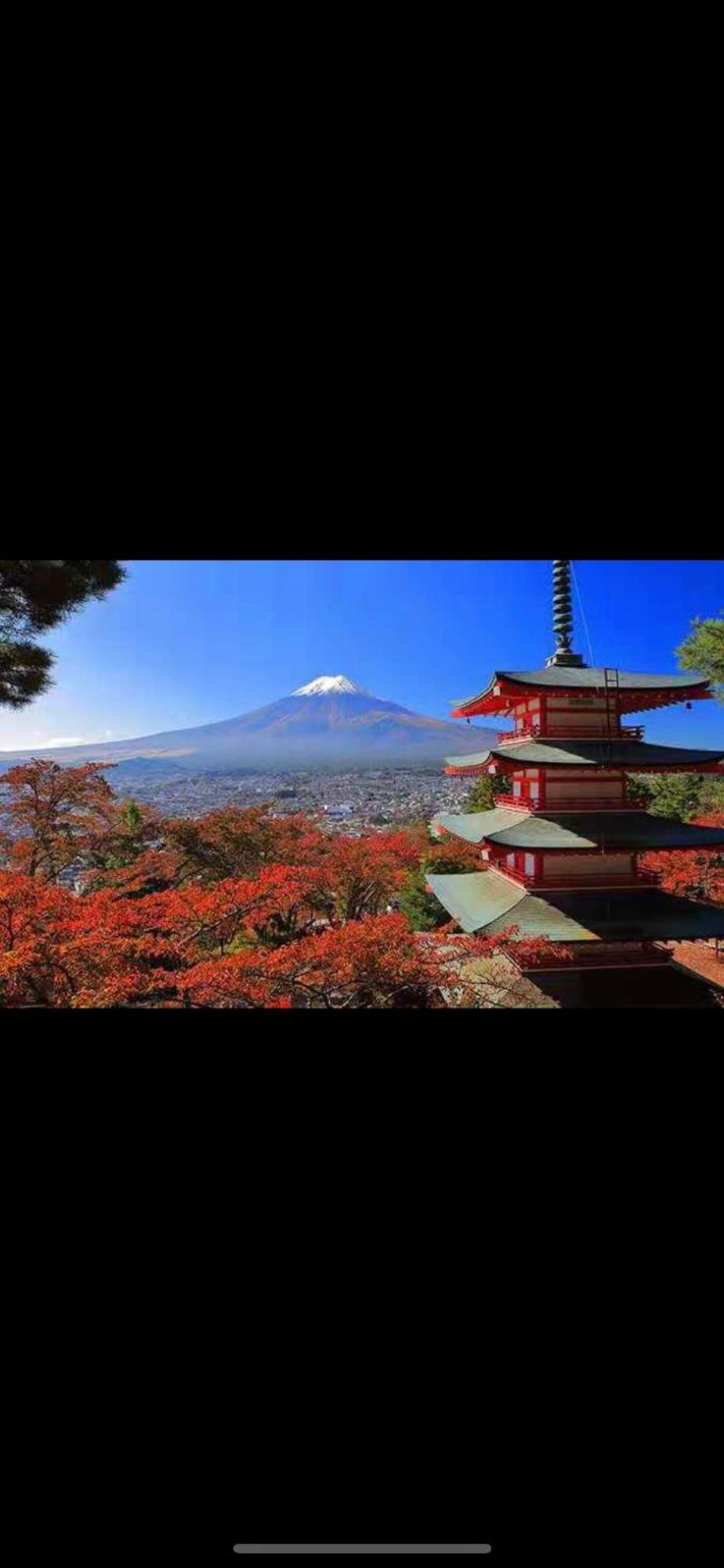 新宿庭院の屋-Shinjuku Garden Home -28 Square Meters King Size Bed Garden Room Tóquio Exterior foto