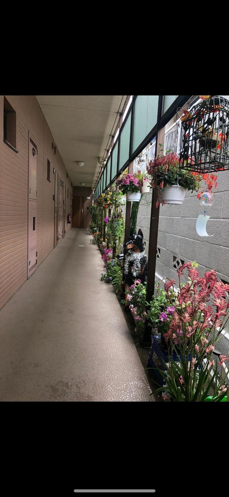 新宿庭院の屋-Shinjuku Garden Home -28 Square Meters King Size Bed Garden Room Tóquio Exterior foto